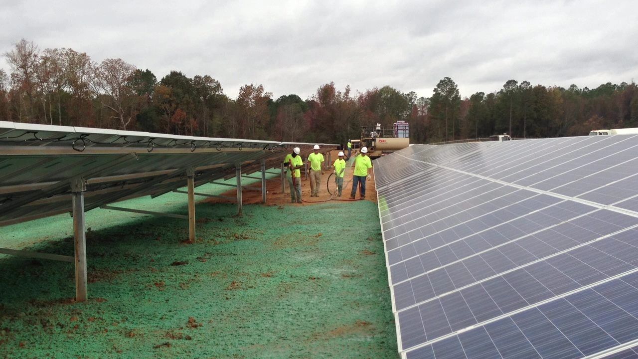 Solar farm workers in safety vests